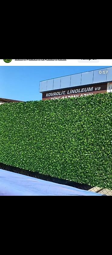 Bağ və bostan üçün digər məhsullar: Yaşıl arakəsmə. Türkiyə istehsalı paslanmayan ikiqat məftil və dörd — 18