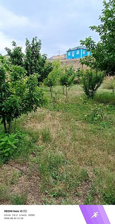 Torpaq sahələrinin satışı: 12 sot, Tikinti, Mülkiyyətçi, Kupça (Çıxarış) — 6