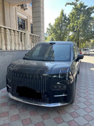 ТНИ: Zeekr 009: | 2024 г. Седан