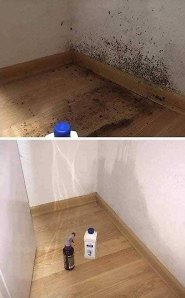 Kućna hemija i proizvodi za kuću: 🌿 PDP koncentrat – efikasno protiv buđi! 🌿 Za zdrav i čist dom bez — 4