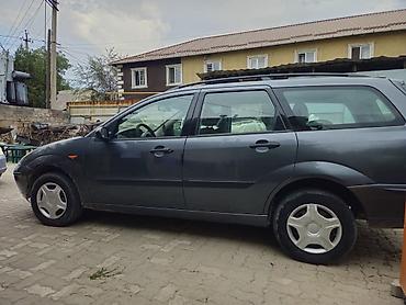 полировка и регулировка фар: Ford Focus: 2004 г., 1.6 л, Механика, Бензин, Универсал — 6