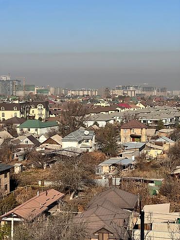 орок нижний: 27 соток, Красная книга — 6