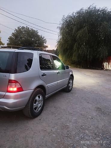 возможен обмен на дом: Mercedes-Benz ML-Class: 2003 г., 2.7 л, Автомат, Дизель, Кроссовер — 4
