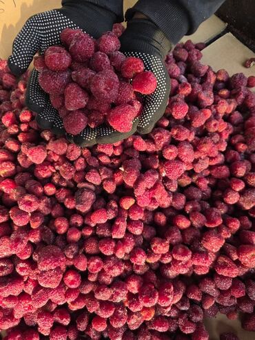 Клубника: Клубника — 11