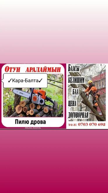 Другие товары для дома: Пилю дрова электропила (Мбанк-Нет). Отун-Аралаймын (Мбанк-Жок)