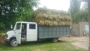 e klass: Грузовик, Mercedes-Benz, Дубль, 5 т, Новый — 4