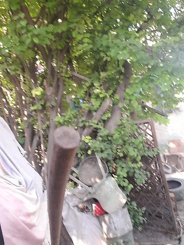 метала турба: Продается кругляк в хорошем состоянии,7 шт больших и 4 железные — 6