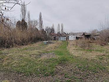 Продажа коттеджей и домов: Дом с участком на ул. Розы Люксембург, 22. - Одноэтажный жилой дом с — 5