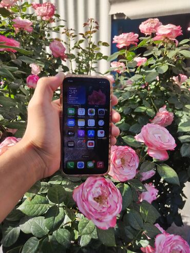 Apple iPhone: IPhone Xr, Коралловый, Чехол