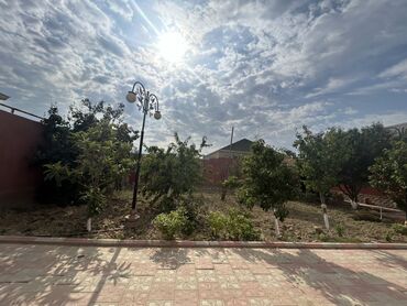 Uzunmüddətli kirayə mənzillər: Oz evimdi.6sotu ve Heyetde her nov agac var.Su isiq qaz daimidi.Sened -da lalafo.az — 14 Uzunmüddətli kirayə mənzillər: Oz evimdi.6sotu ve Heyetde her nov agac var.Su isiq qaz daimidi.Sened — 14