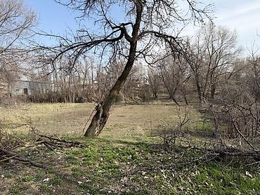 Продажа коттеджей и домов: Продается дом с большим дворовым участком 16.5 соток (фактически 20)и — 11