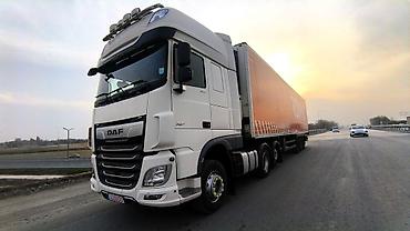 814 d: Тягач, DAF, 2020 г., Холодильник, рефрижератор — 2