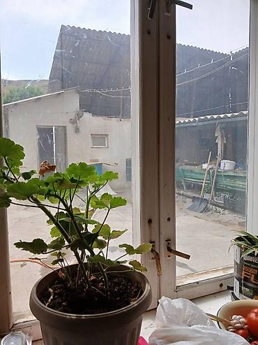 Продажа домов: 6 комнат и более, 1200 м², 12 соток, Чон-Арык, Собственник — 2