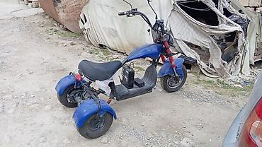 zigzag one 50cc blue: - MINGO, 50 sm3, 2024 il, 52 km — 2