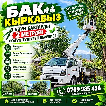 Стрела 18 м, 250 т at lalafo.kg Стрела 18 м, 250 т
