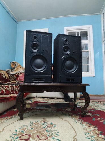 Dinamiklər və kolonkalar: İşlənmiş Radiotehnika Kolonka, Növ - Akustik, rəng - Qara