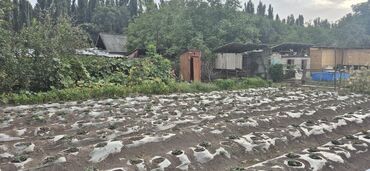 Продажа домов: Дом, 55 м², 3 комнаты, Собственник, Евроремонт at lalafo.kg — 8 Продажа домов: Дом, 55 м², 3 комнаты, Собственник, Евроремонт — 8