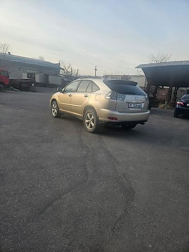 Lexus: Lexus RX: 2007 г., Автомат, Газ, Кроссовер — 2