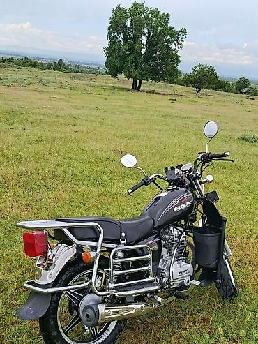Мотоциклы: Классический мотоцикл Suzuki, 200 куб. см, Бензин, Взрослый, Новый at lalafo.kg — 3 Мотоциклы: Классический мотоцикл Suzuki, 200 куб. см, Бензин, Взрослый, Новый — 3