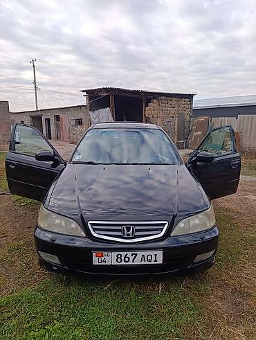 audi 100: Honda Accord: 2001 г., 1.8 л, Механика, Бензин, Хэтчбэк — 1