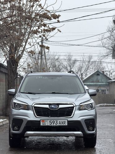 Subaru: Subaru Forester: 2019 г., Автомат, Бензин, Кроссовер — 1