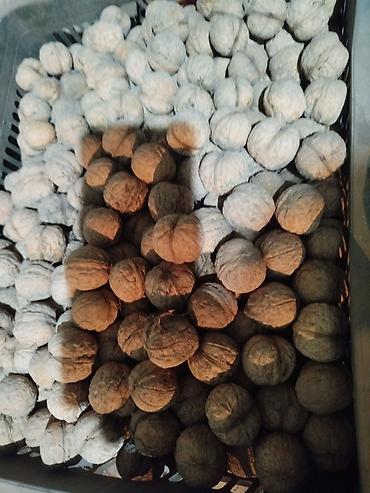 продам соль: Грецкие орехи в скорлупе. - Крупный калибр, плотная скорлупа, целые — 1