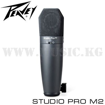Динамики и музыкальные центры: Микрофон студийный Peavey Studio Pro M2 - это профессиональный