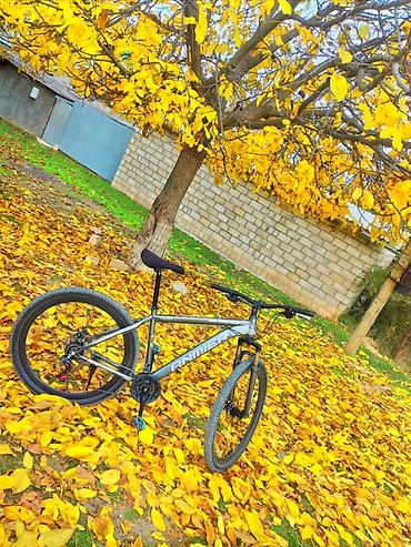elektro velosipet: Bow bow narahat etmeyin — 1