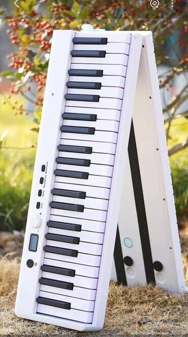 Digər auditexnika: Təzədir. Piano kursuna başlayanlar üçün,Piano müəllimləri üçün — 8