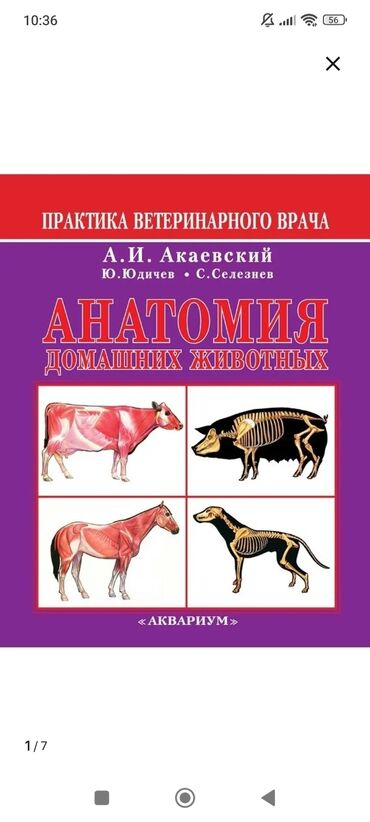 в конце они оба умрут цена: Куплю учебник новый или б/у в любом состоянии: Анатомия животных