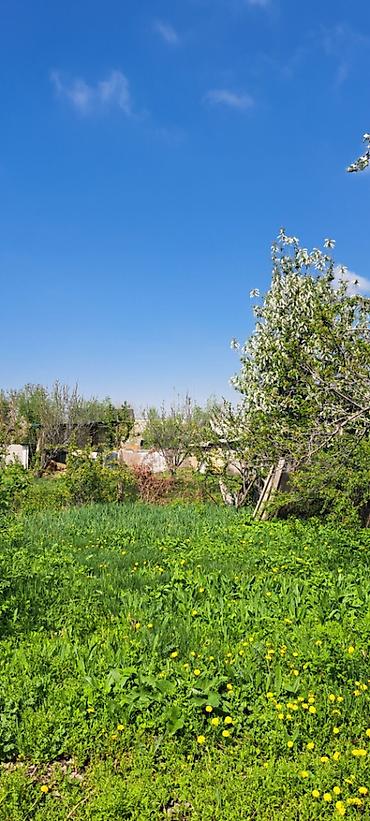 уч: 8 соток, Курулуш, Кызыл китеп — 3