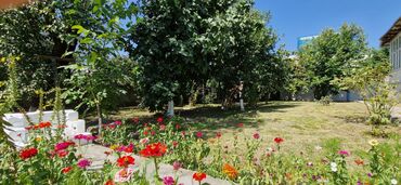 Torpaq sahələrinin satışı: 12 sot, Tikinti, Makler, Kupça (Çıxarış) — 21