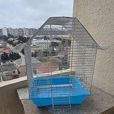 bulbul qefesi: Quş qəfəsi – metal karkaslı, mavi plastik altlıqla - Material: möhkəm — 3