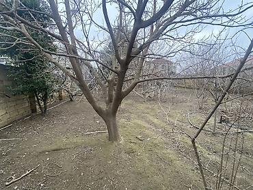 Torpaq sahələrinin satışı: Tikinti — 7