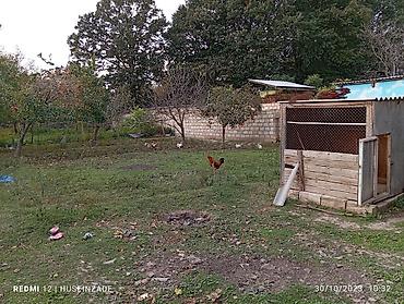 1 комнатная квартира студия: Продажа домов — 4