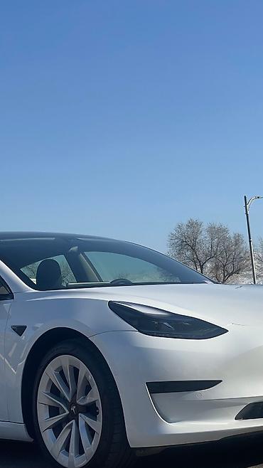 model y: Tesla Model 3: 2021 г., Автомат, Электромобиль, Седан — 3