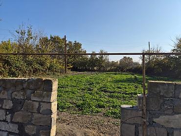 Həyət evləri və villalar: 14 sot torpaq sahesinin içinde yaşayışlı ev köhnə tikili 2yataq otaq 1 — 9