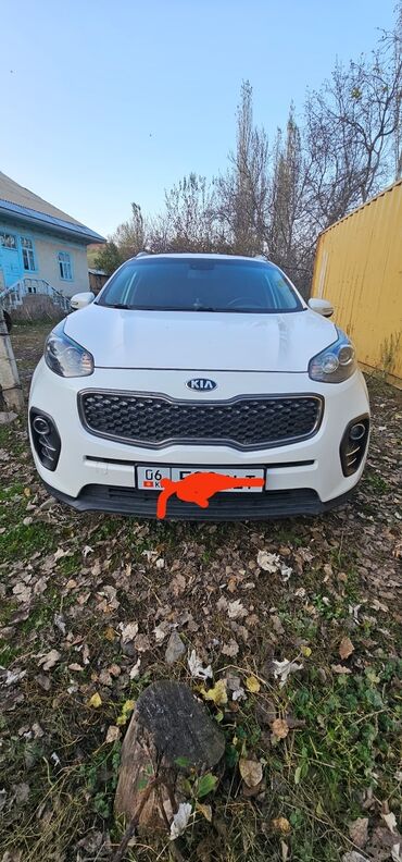 Kia: Kia Sportage: 2017 г., 1.7 л, Автомат, Дизель, Кроссовер