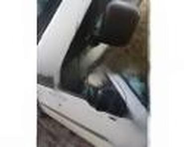 Glave motora: KUCISTE FILTERA VAZDUHA ZA FORD C-MAX, COUGAR, ESCORT . OD 2002. DO — 47
