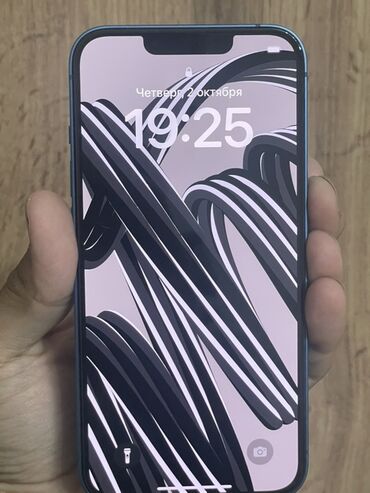 Apple iPhone: IPhone 13 — 9