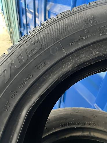 17 зима: Шины 225 / 55 / R 17, Зима, Новый, Комплект, Легковые, Китай, Goform — 2