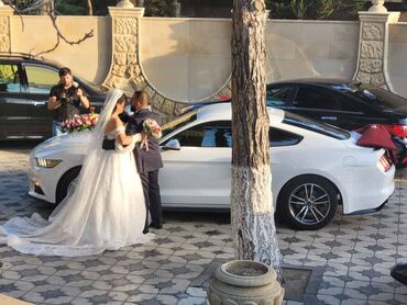 Digər avto xidmətlər: 2018-ci il Mustang. Toy, Nişan və digər tədbirlər üçün sifariş edə — 7