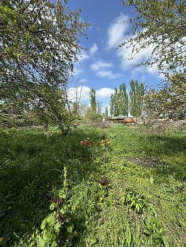 Продажа коттеджей и домов: 📍В Сокулуке продаётся дом на участке 9.5 соток. 🏡Дом состоит из 4 х — 3