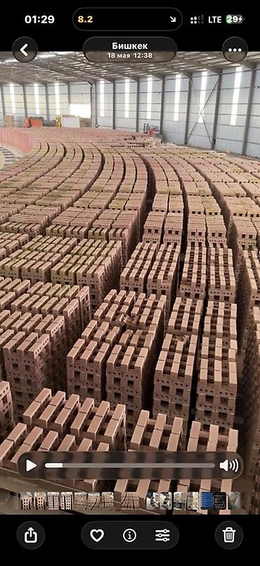 литература 9: Пустотелый, дырчатый, Жженый кирпич, Полублок, 250×120×90 — 5