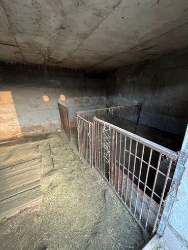 Продажа домов: Дом, 150 м², 7 комнат — 40