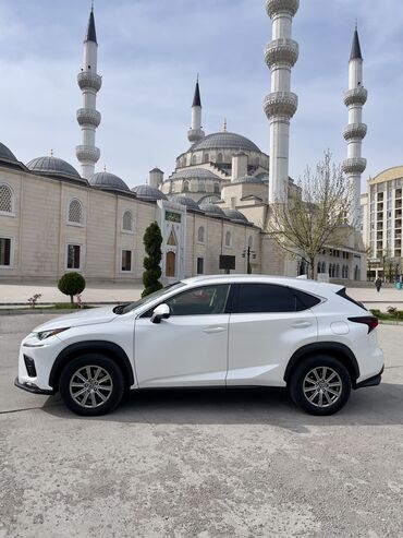 автомобили электро: Lexus NX: 2018 г., 2 л, Автомат, Бензин, Кроссовер