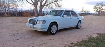 Mercedes-Benz: Mercedes-Benz W124: 1992 г., 2 л, Автомат, Бензин, Седан