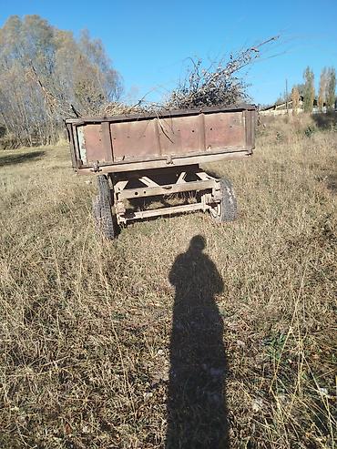 daewoo rcc 601ba: Трактор Т-30 А80 с кабиной и навесным оборудованием — 6