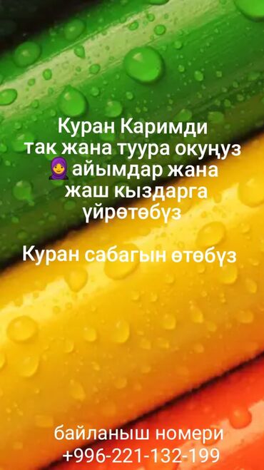 курсы по вокалу: Куранды жаны баштагандар учун бекер