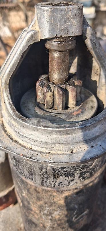 cuce ve xoruz temsil: (elektrik starter mühərriki) - Tip: 12V DC starter, solenoidlə — 1